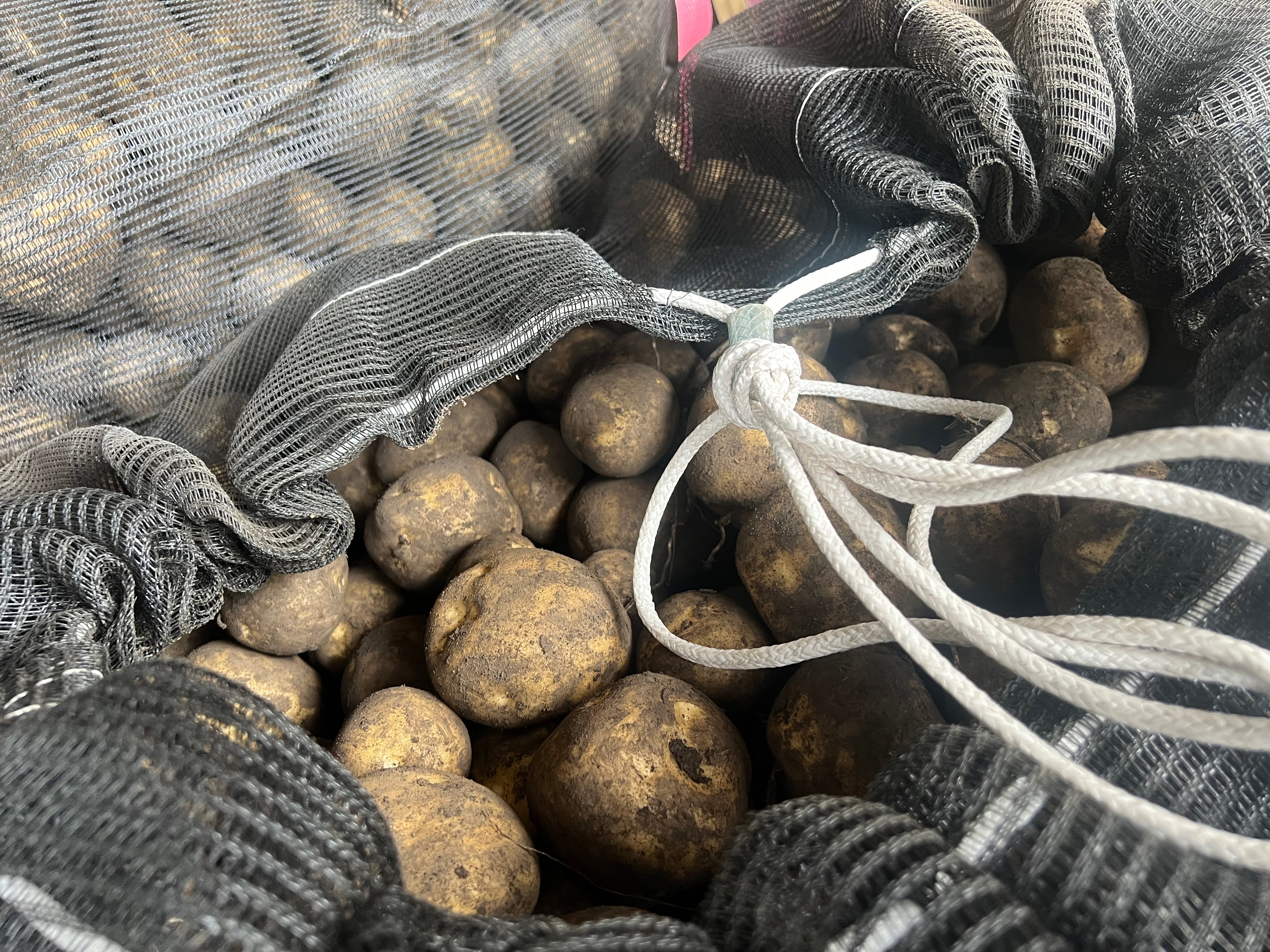 蝦夷っ子じゃがいも