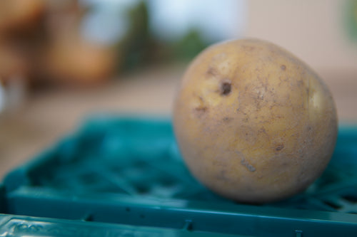 【期間限定】新じゃがいも