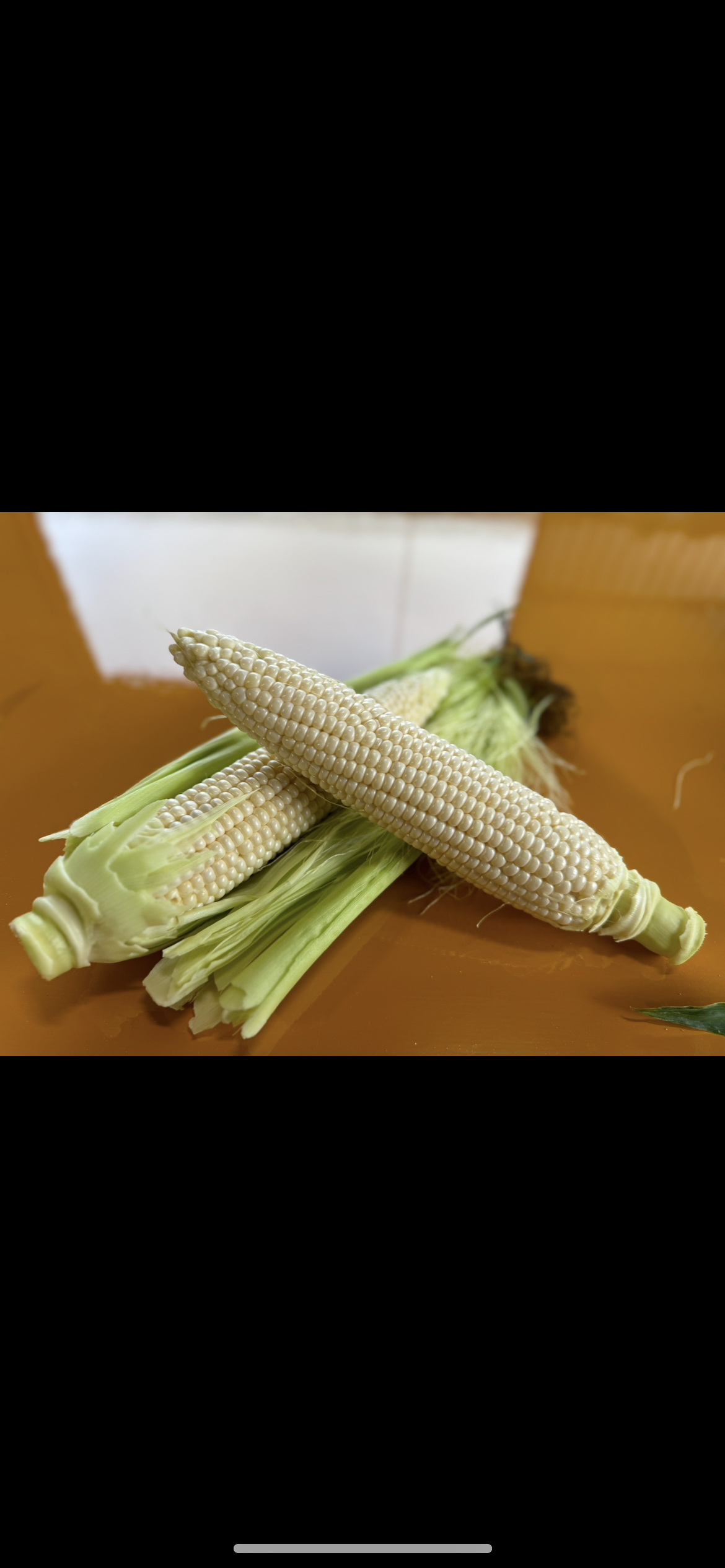 蝦夷っ子純白とうもろこし