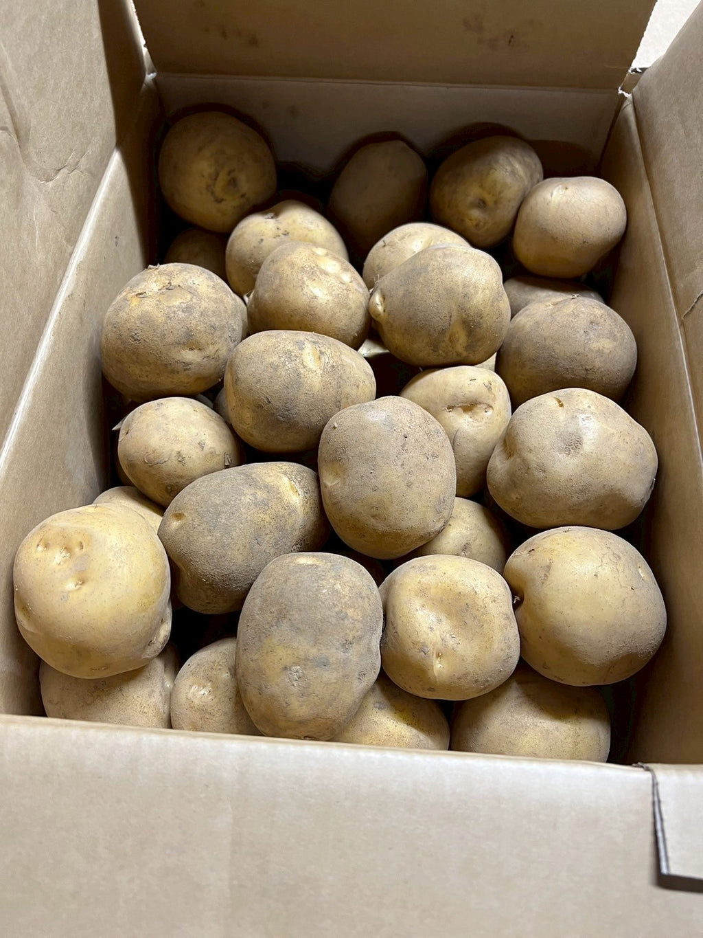 蝦夷っ子じゃがいも