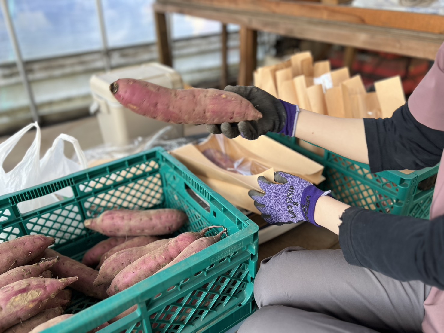 時を刻む密いも